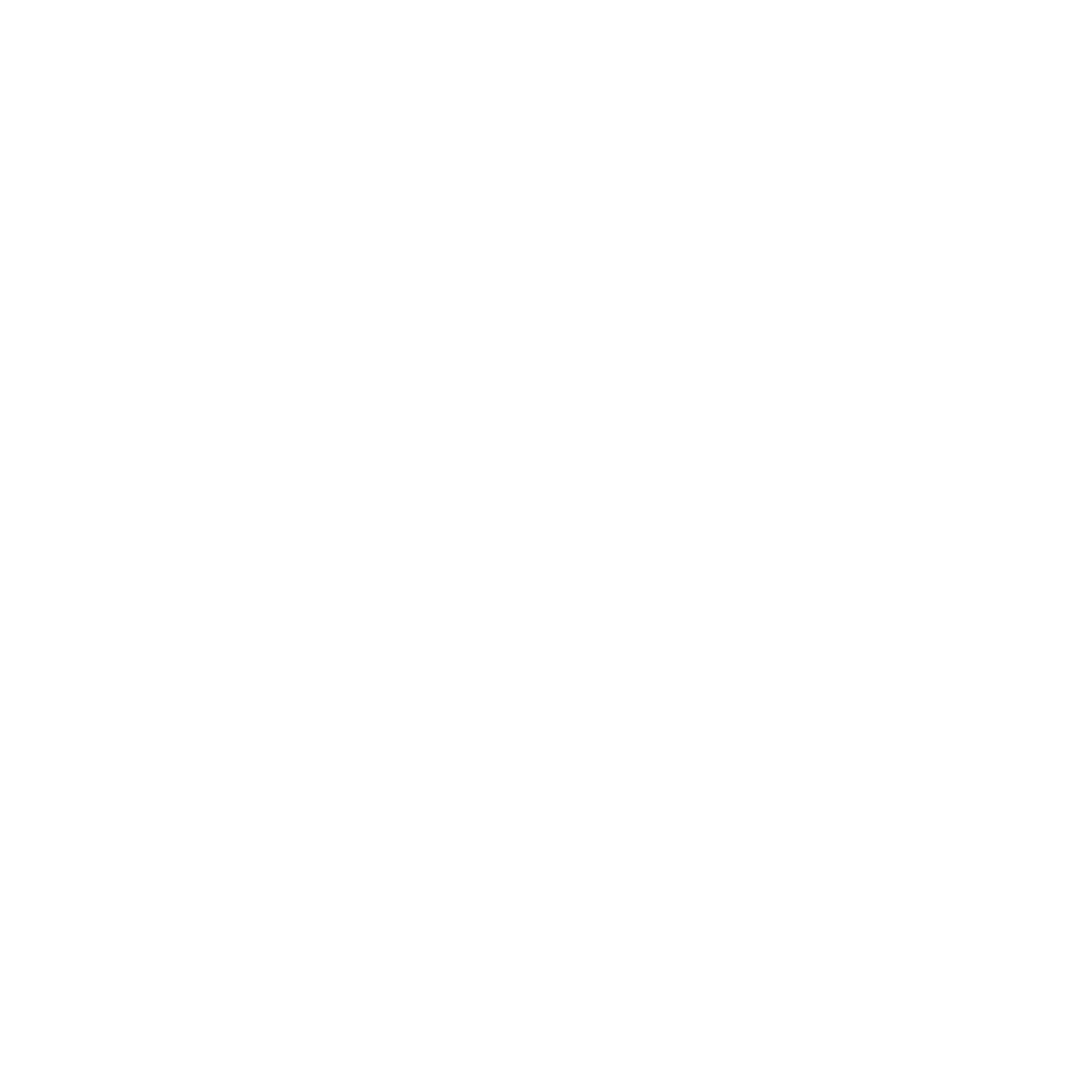 Fleyva Properties logo