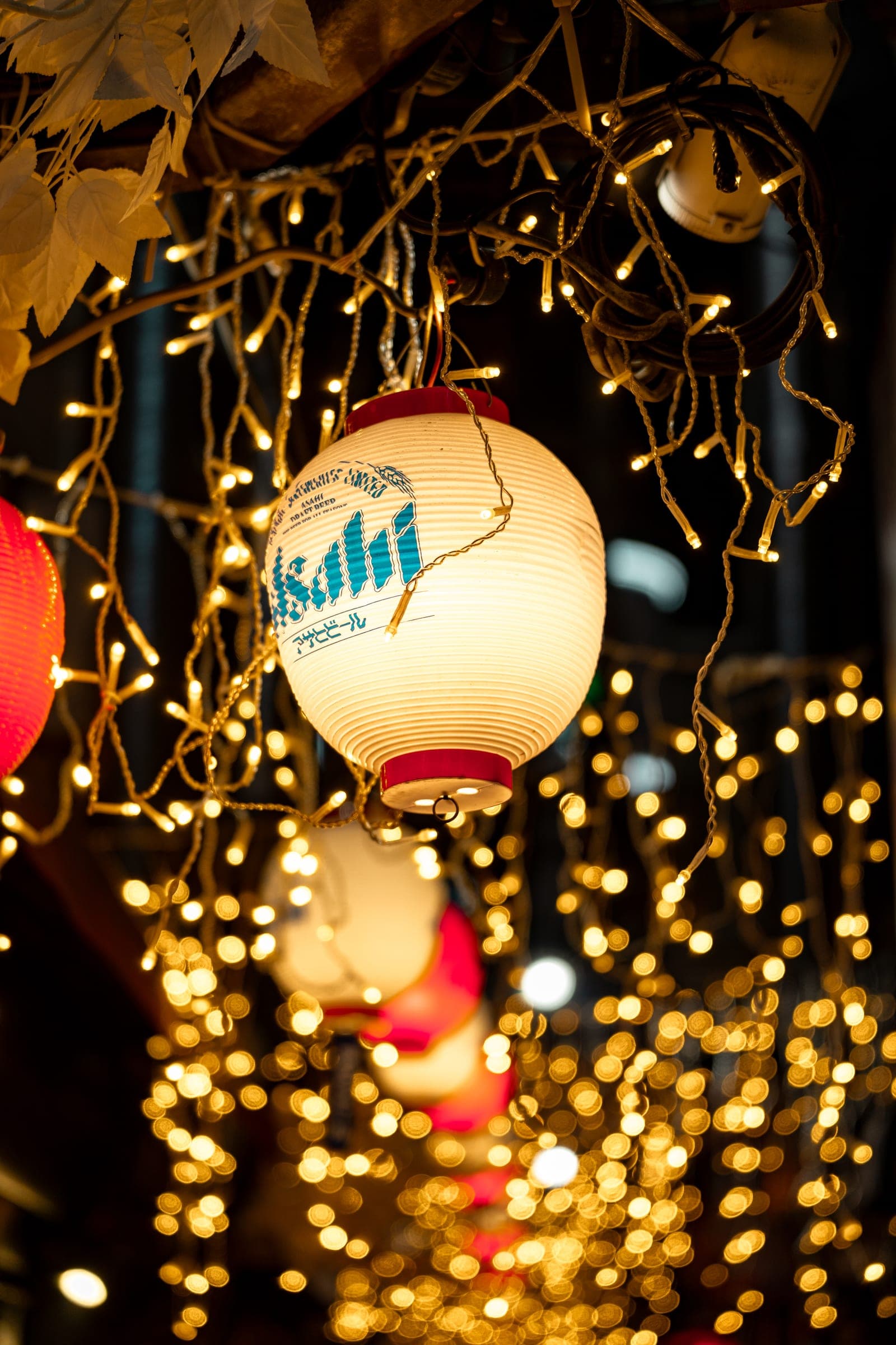 Photography for Morimoto by MediaScher