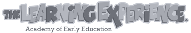The Learning Experience